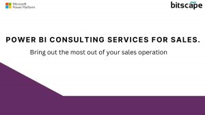 Power BI consulting services for Sales -- Bring out the most out of your sales operation
